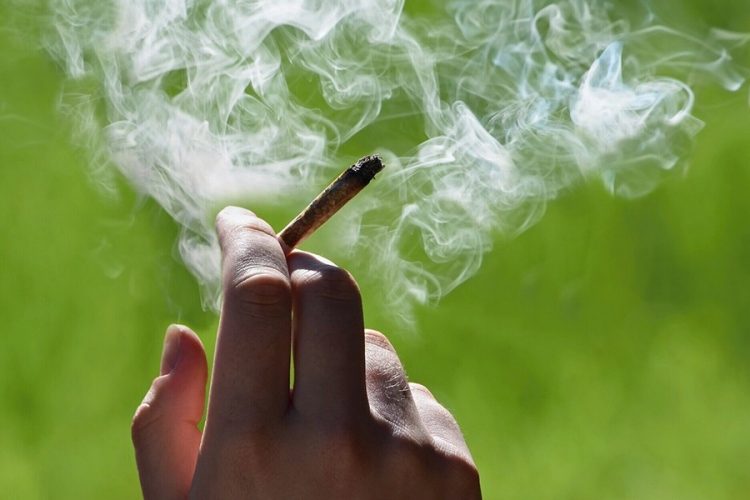 Estuvo un año preso por dos “porros” de marihuana