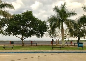 Los parámetros epidemiológicos decrecen en la provincia: hoy 206 casos y 6 decesos