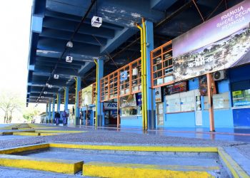 El Gobierno rehabilita vuelos y transporte terrestre desde el 15 de agosto