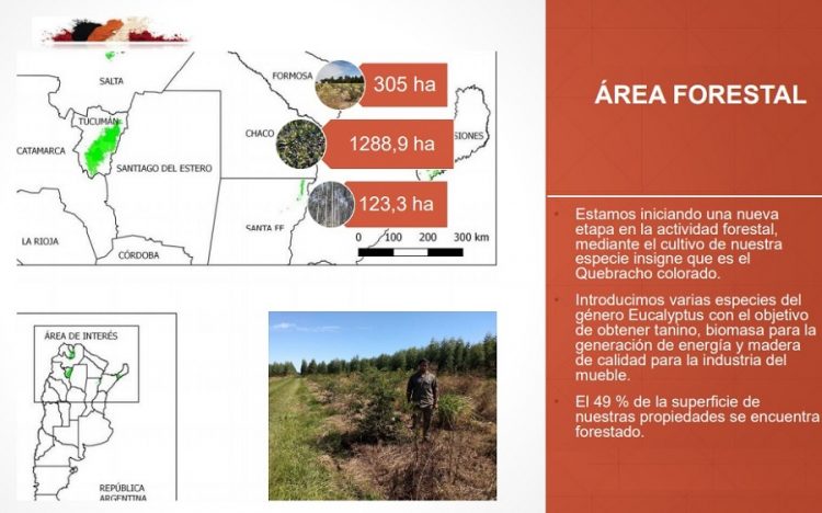 Unitán impulsa su plan de forestación intensiva de quebracho colorado
