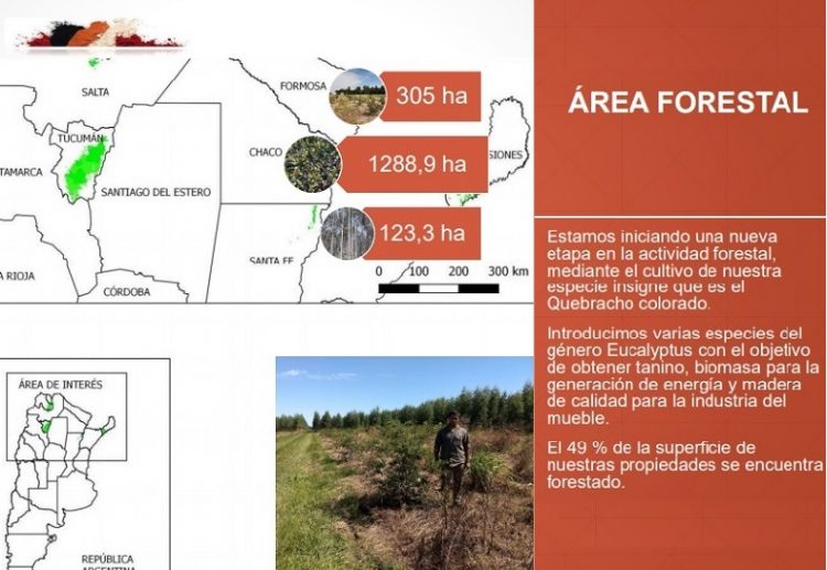 Unitán impulsa su plan de forestación intensiva de quebracho colorado