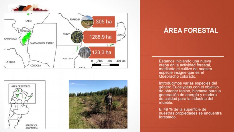 Unitán impulsa su plan de forestación intensiva de quebracho colorado