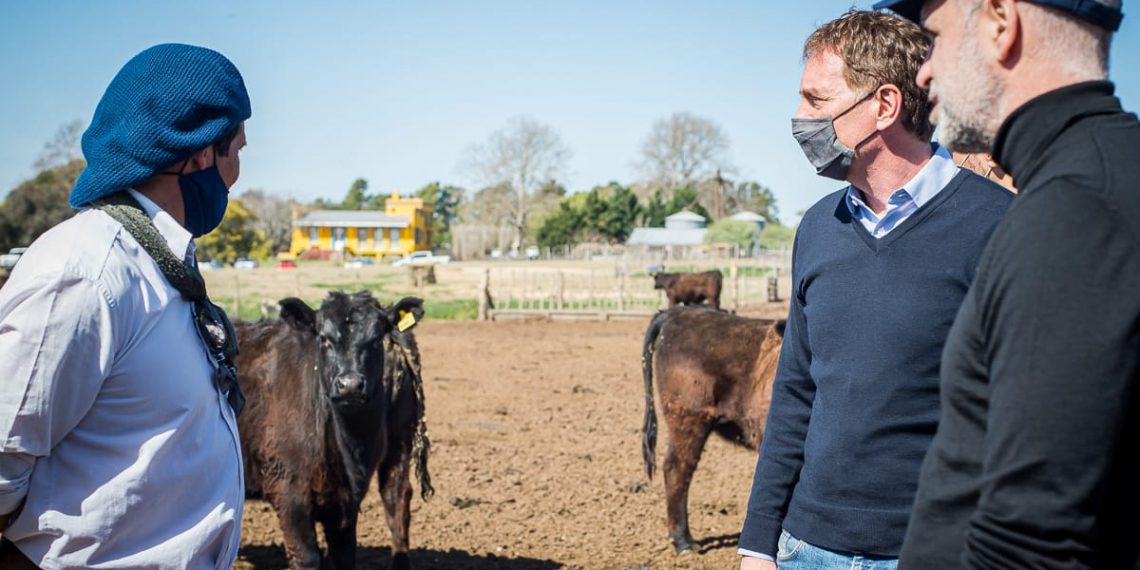 Horacio Rodríguez Larreta: «El campo sufre la grieta y tenemos que terminar con eso»