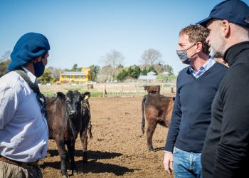 Horacio Rodríguez Larreta: «El campo sufre la grieta y tenemos que terminar con eso»