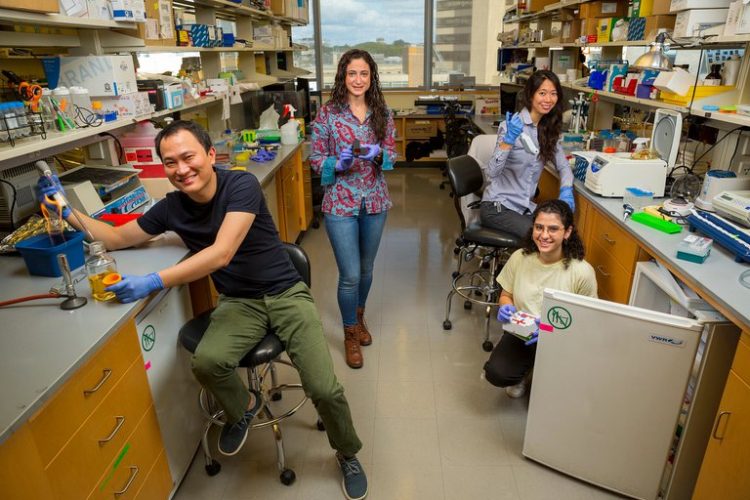 Diseñan un test doméstico que detecta en la saliva el COVID-19 y sus variantes