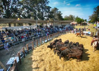El lunes 30 se presenta oficialmente la Expo Rural Formosa 2021
