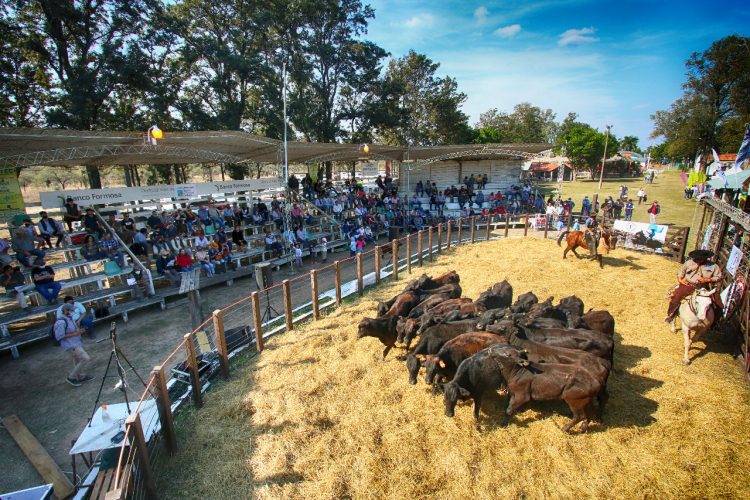 El lunes 30 se presenta oficialmente la Expo Rural Formosa 2021