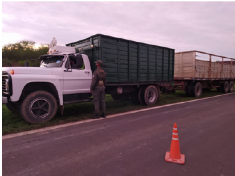 Gendarmería incautó 8 toneladas de madera sin documentación respaldatoria