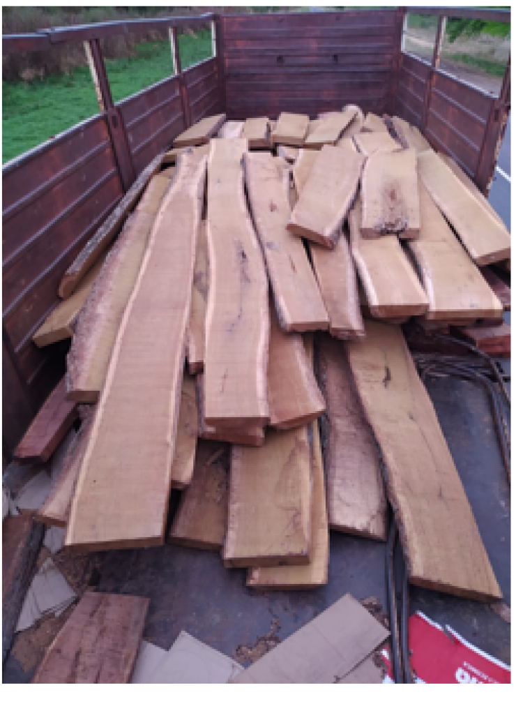 Gendarmería incautó 8 toneladas de madera sin documentación respaldatoria