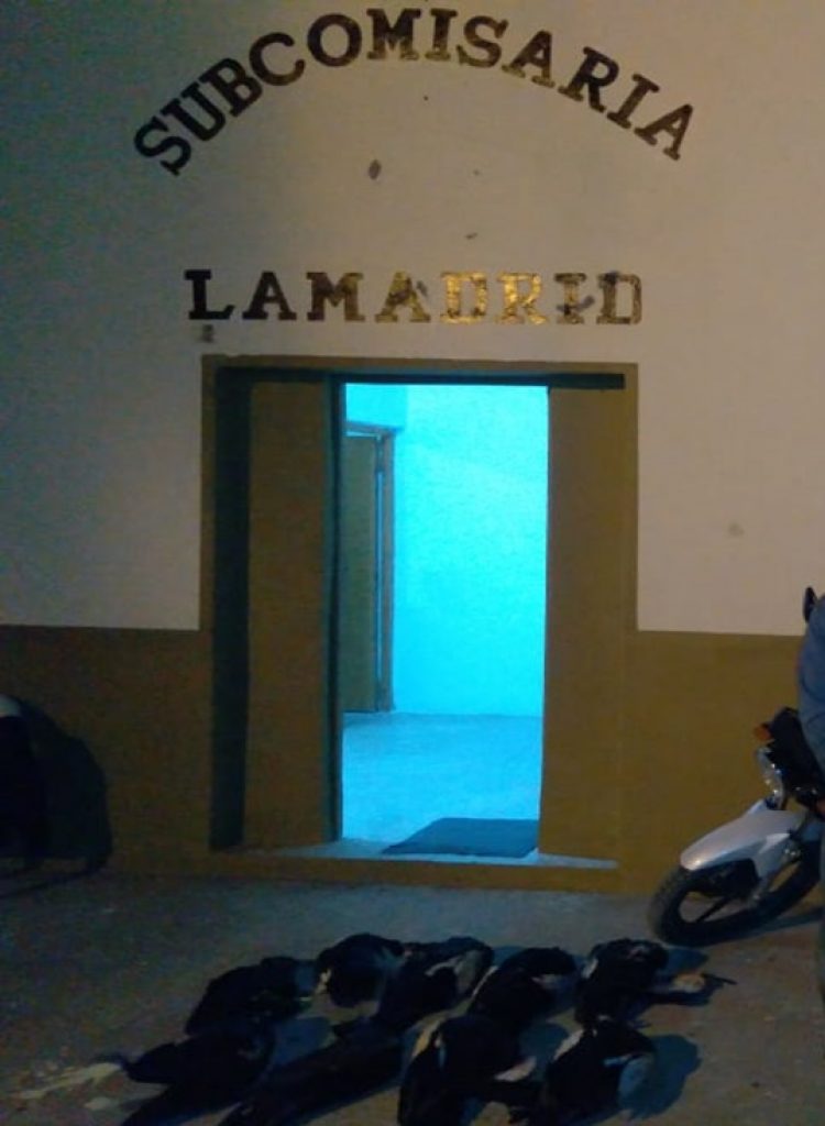 Detectan a varios cazadores furtivos con patos y un yacaré negro