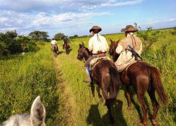 Intenso tiroteo entre abigeos y policías rurales en el límite con el Paraguay