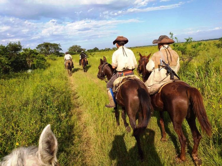Intenso tiroteo entre abigeos y policías rurales en el límite con el Paraguay
