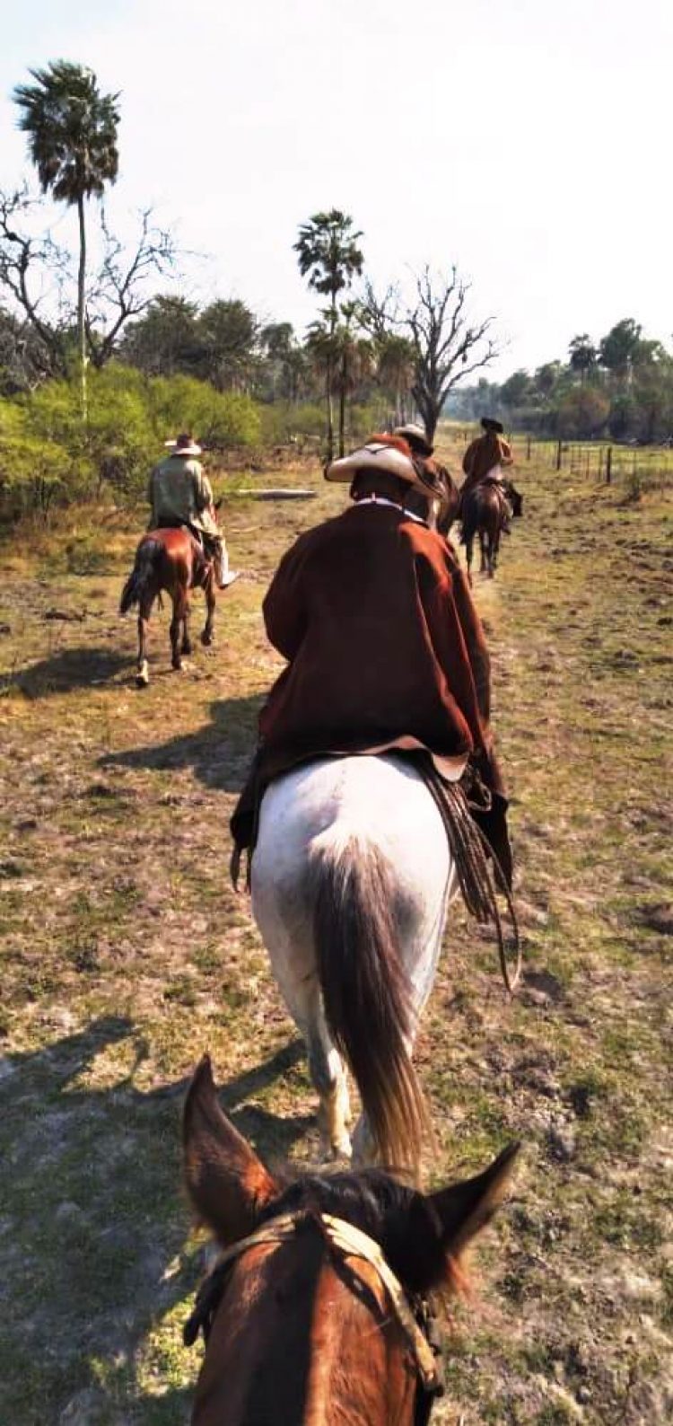Intenso tiroteo entre abigeos y policías rurales en el límite con el Paraguay