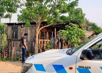 Fueron a ver caso de violencia de género y encontraron una plantación de marihuana