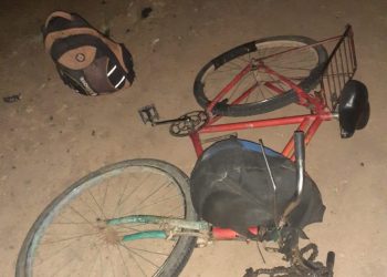 Murieron dos hombres por un accidente en la R81, detuvieron a un camionero