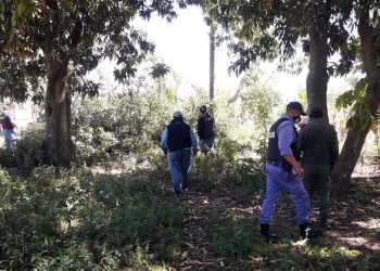 Policías y gendarmes frenaron la actividad ilícita de un “dealer”
