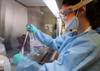 Segunda vez en la semana que no se reportan fallecidos en Formosa