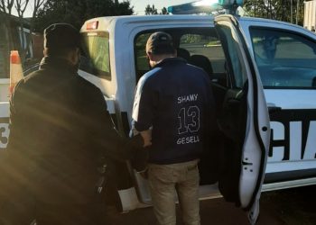 Detuvieron a un hombre por matar a piedrazos a un perro y herir a otro