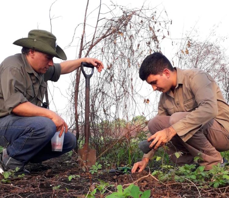 Luego de los incendios, se recupera el humedal del Riacho Formosa