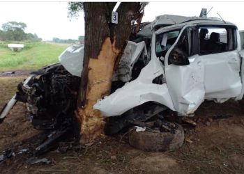 Un hombre de 29 años murió al impactar su camioneta a toda velocidad contra un árbol