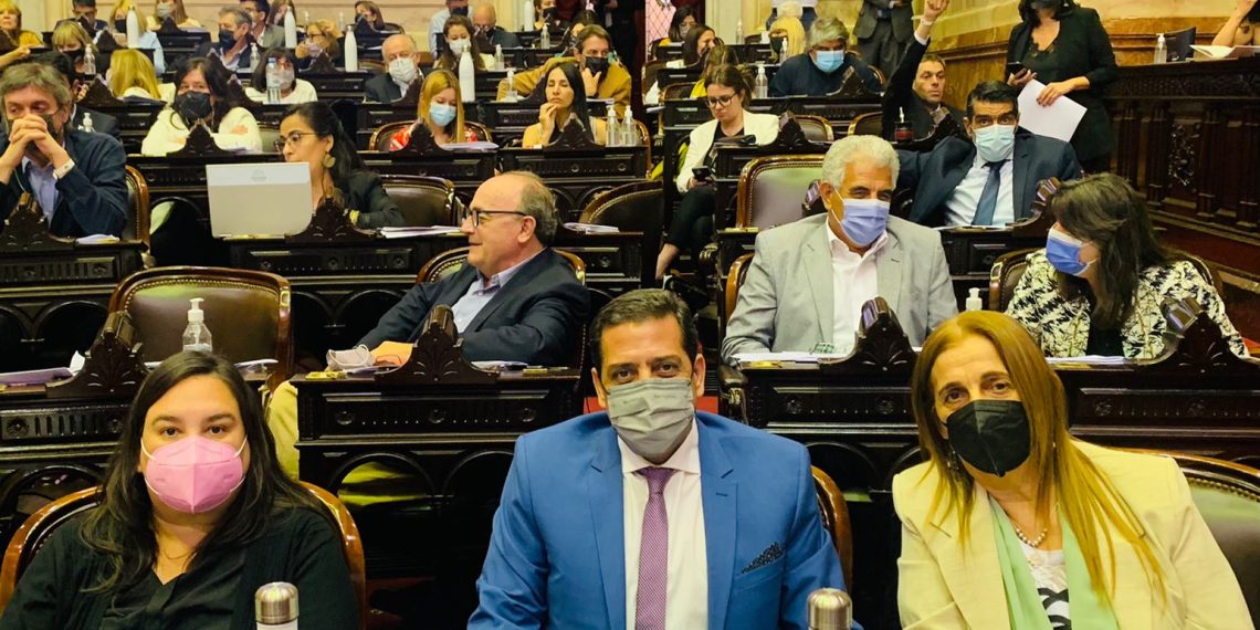 Fernández Patri: “Vamos a defender la mesa de las familias argentinas”