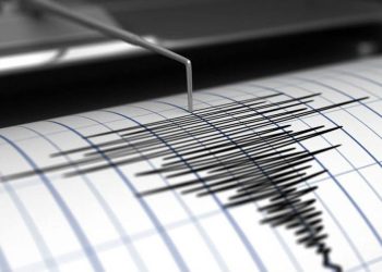 El sismo en Las Lomitas, un error del sistema sismológico del INPRES