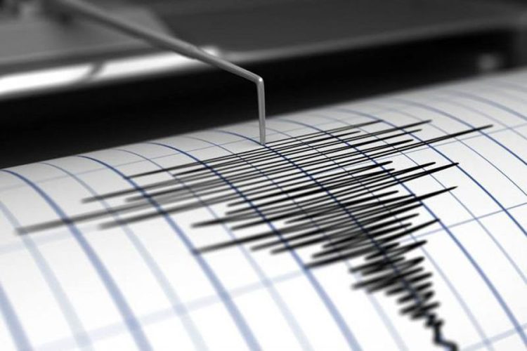 El sismo en Las Lomitas, un error del sistema sismológico del INPRES