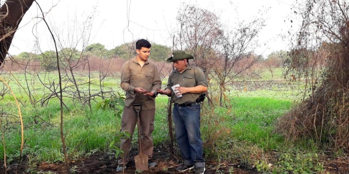 Luego de los incendios, se recupera el humedal del Riacho Formosa