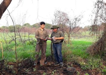 Luego de los incendios, se recupera el humedal del Riacho Formosa