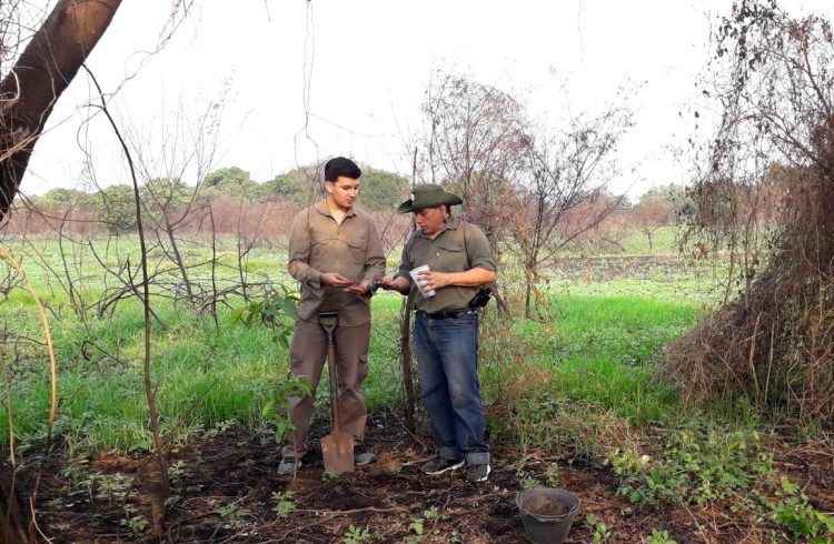 Luego de los incendios, se recupera el humedal del Riacho Formosa