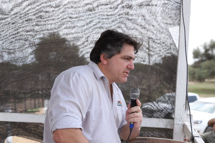 Insfrán suma un nuevo adversario, Francisco Paoltroni