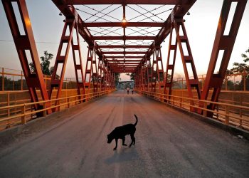 Ante demora de apertura de Clorinda-Falcón, Formosa aclaró que no se opone a la medida
