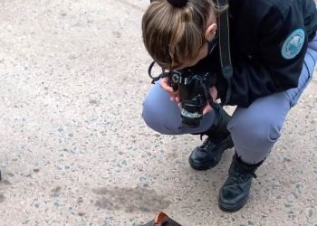 Ebrio y armado paseaba en su auto cuando lo agarró la Policía