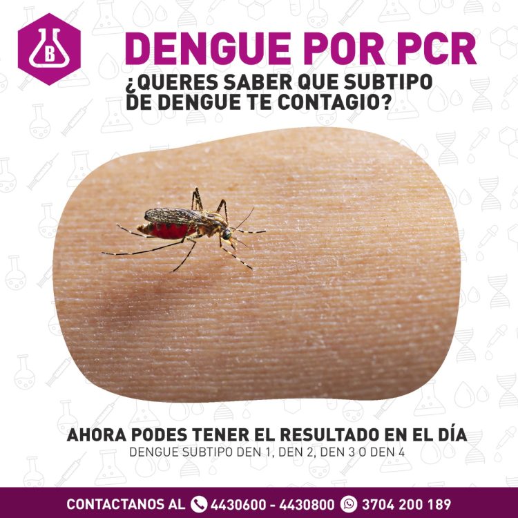 Quién defiende a Gildo?