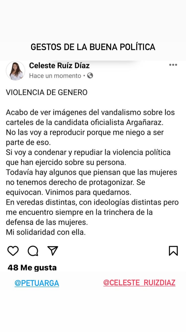 Fuerte repudio al vandalismo a carteles de la candidata Petu Argañaraz