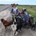 Viajan caminando y “a dedo” desde Chaco a Santa Cruz para no abandonar sus mascotas