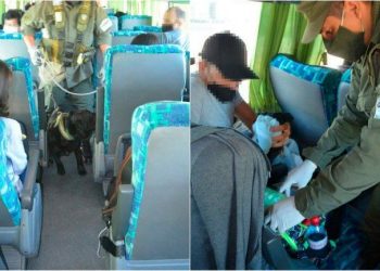 Salió de Clorinda en micro y le encontraron droga oculta en Entre Ríos