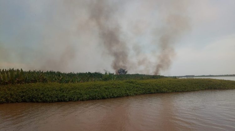 Quema incontrolada de pastizales obligó al cierre de un sector del parque nacional Río Pilcomayo