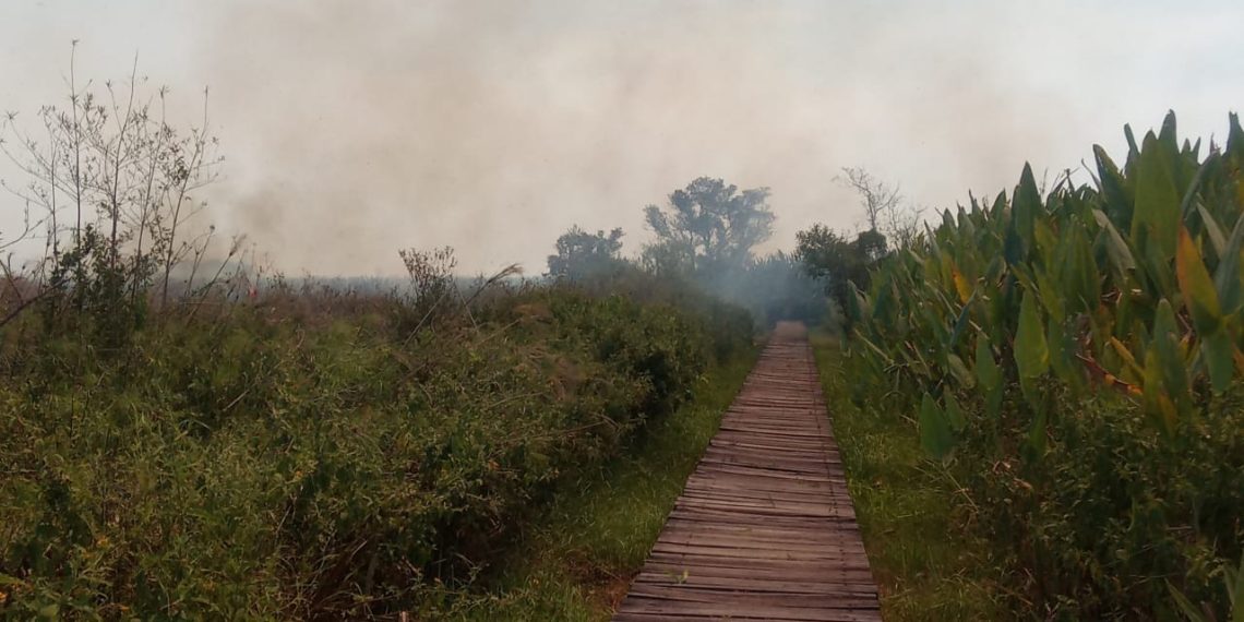 Quema incontrolada de pastizales obligó al cierre de un sector del parque nacional Río Pilcomayo