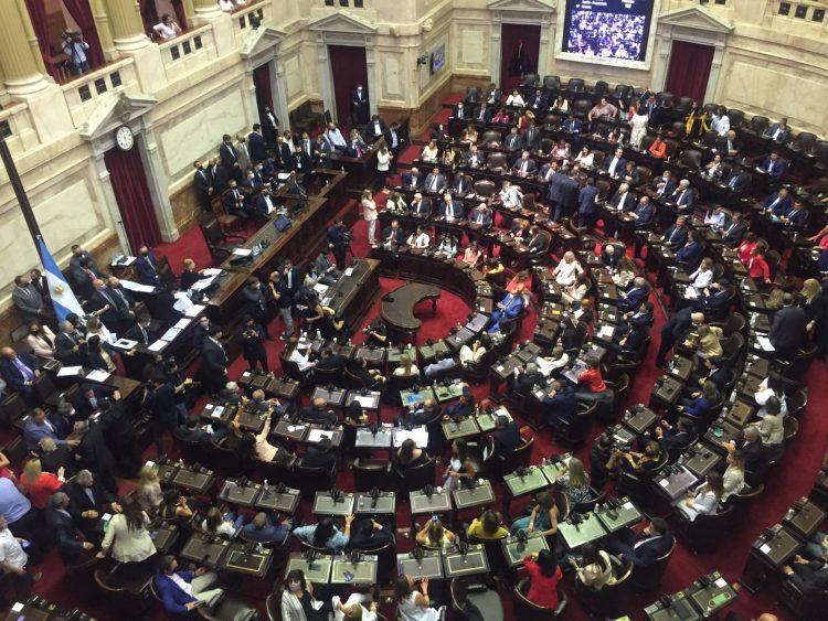 Carbajal y Fernández Patri juraron en el Congreso nacional como diputados por Formosa