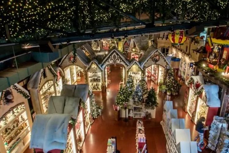 Empezaron en un vivero, viajaron a Formosa para invertir y hoy son «dueños» de la Navidad