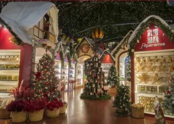 Empezaron en un vivero, viajaron a Formosa para invertir y hoy son «dueños» de la Navidad