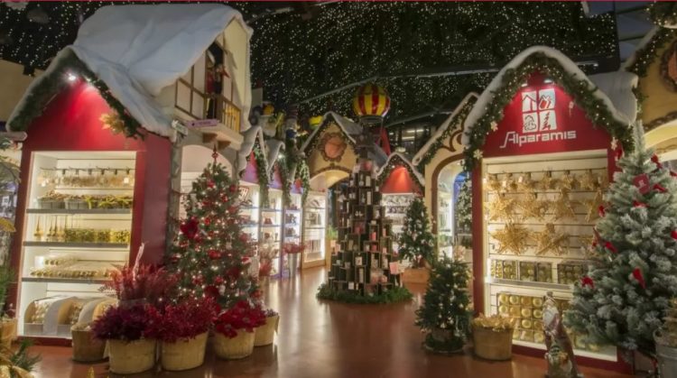 Empezaron en un vivero, viajaron a Formosa para invertir y hoy son «dueños» de la Navidad