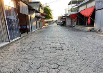 Alberdi no se recupera del covid, apenas 50 de 1.000 locales abrieron