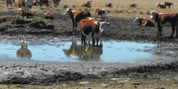Diputados de Juntos por el Cambio piden la Emergencia Agropecuaria