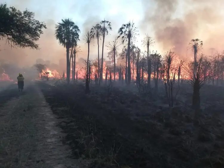 Llaman a tomar conciencia sobre la grave situación que atraviesa el campo por los incendios
