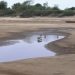 Sigue bajando el río Paraguay en la ribera formoseña