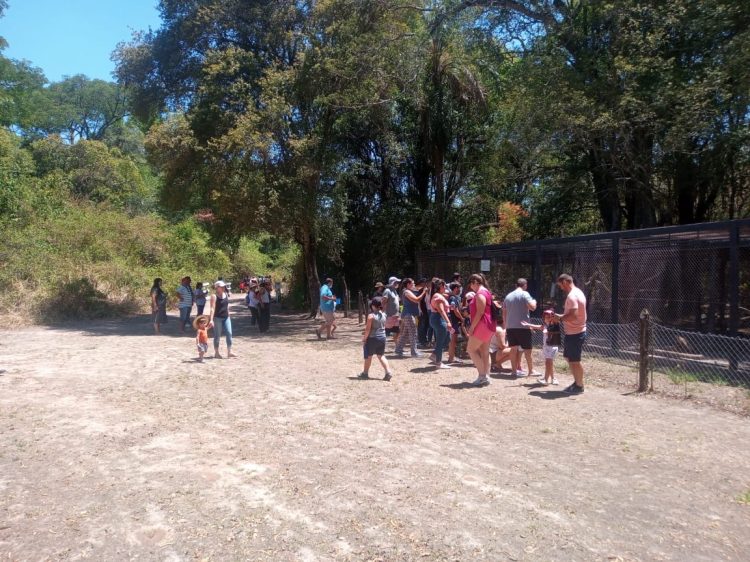 Guaycolec es la atracción de chicos y grandes los fines de semana