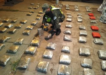 Gendarmes incautan más de 167 kilos de marihuana en un control vial sobre ruta 81