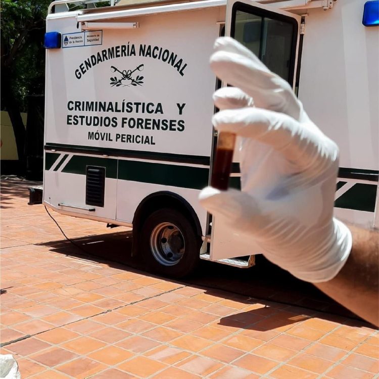 Gendarmes incautaron casi dos toneladas de marihuana ocultas en un camión